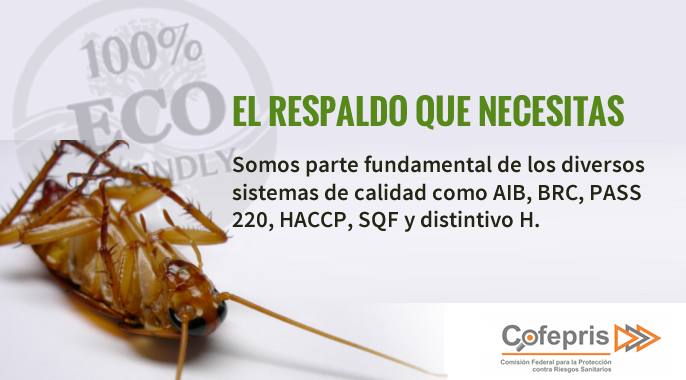 Fumigacion de cucarachas guadalajara