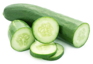 FUMIGACIONES ZAPOPAN